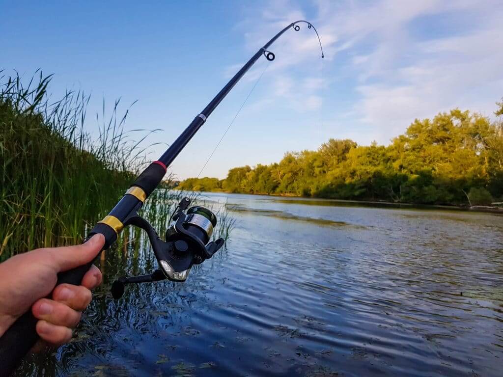 Types of Fishing Shoes