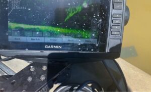 Garmin Livescope view