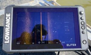 Lowrance Elite FS sidescan