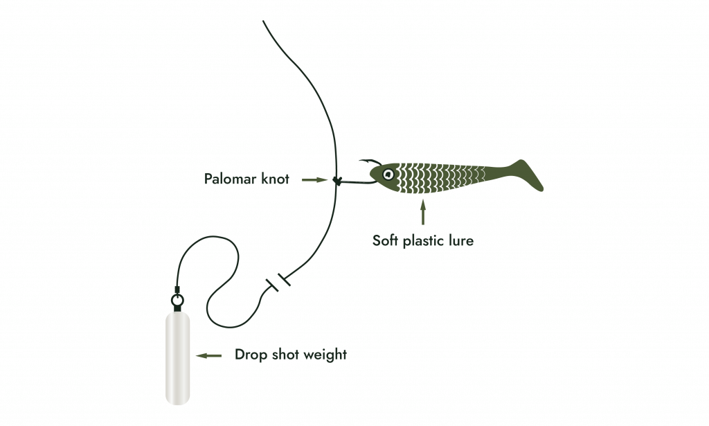 Drop Shot Rig: What is a Drop Shot?