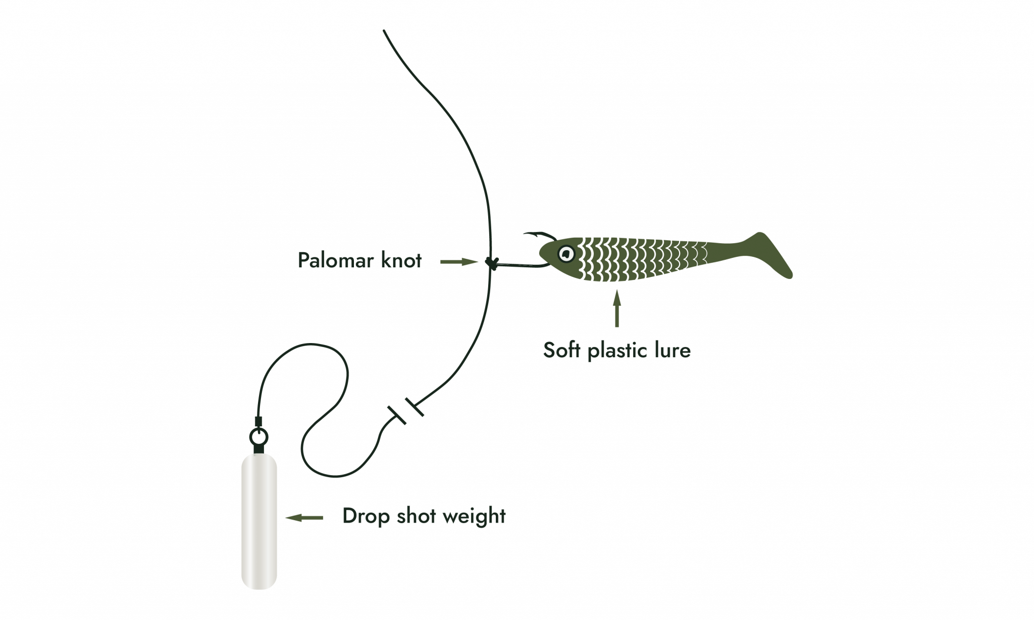 drop-shot-rig-drop-shotting-for-bass-technique-with-video