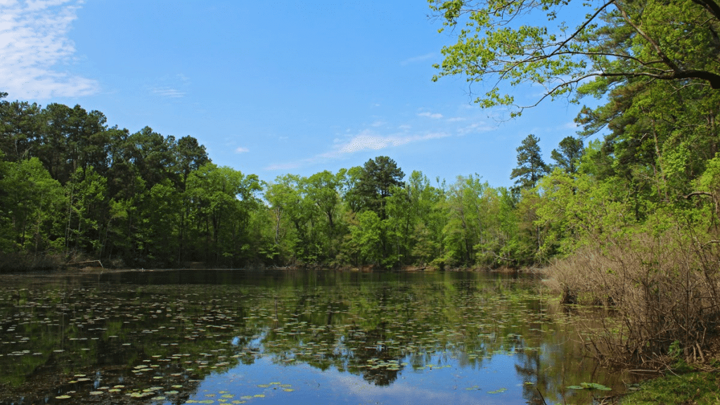 BIG SANDY POND