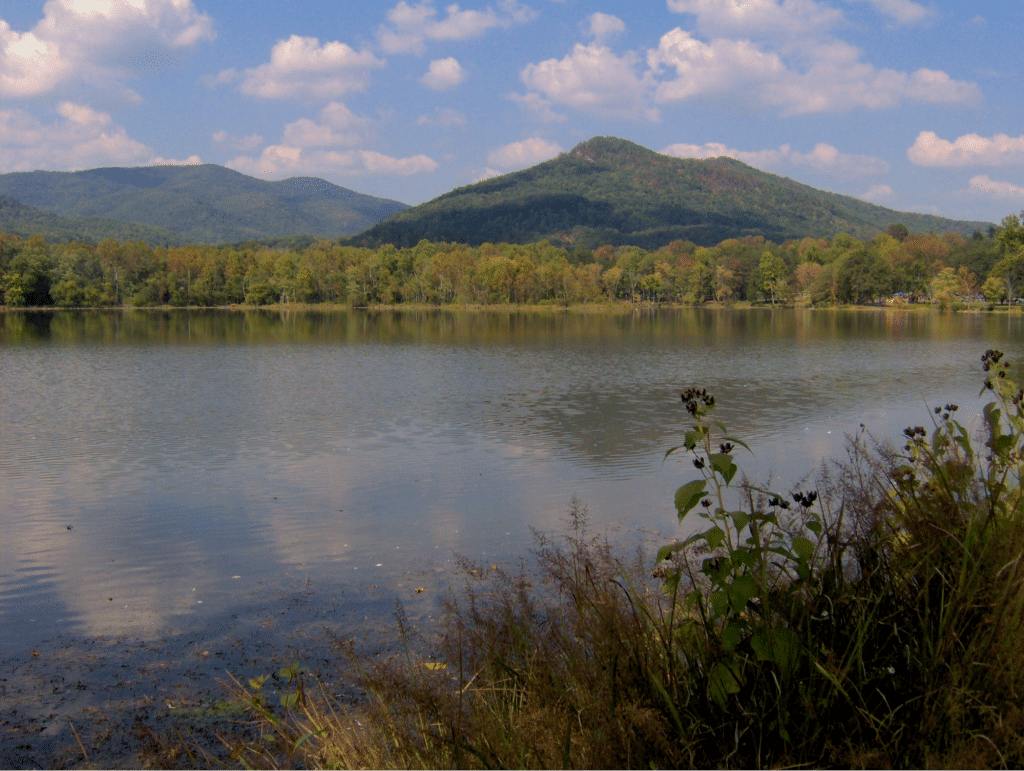 LAKE FORK