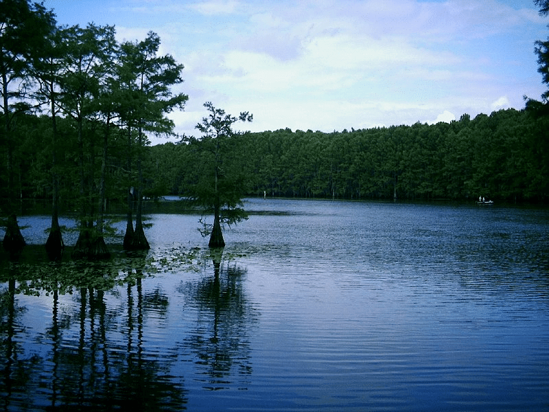 CADDO LAKE