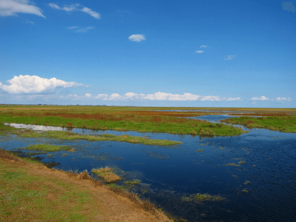 Lake Okeechobee - Florida