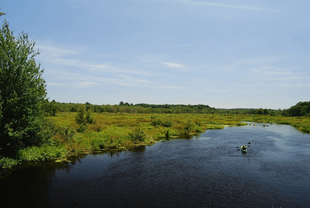 LAKE SINGLETARY