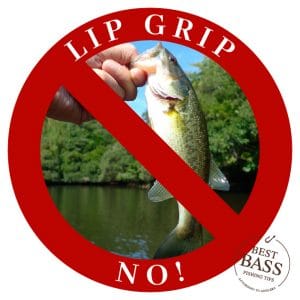 How to lip a bass