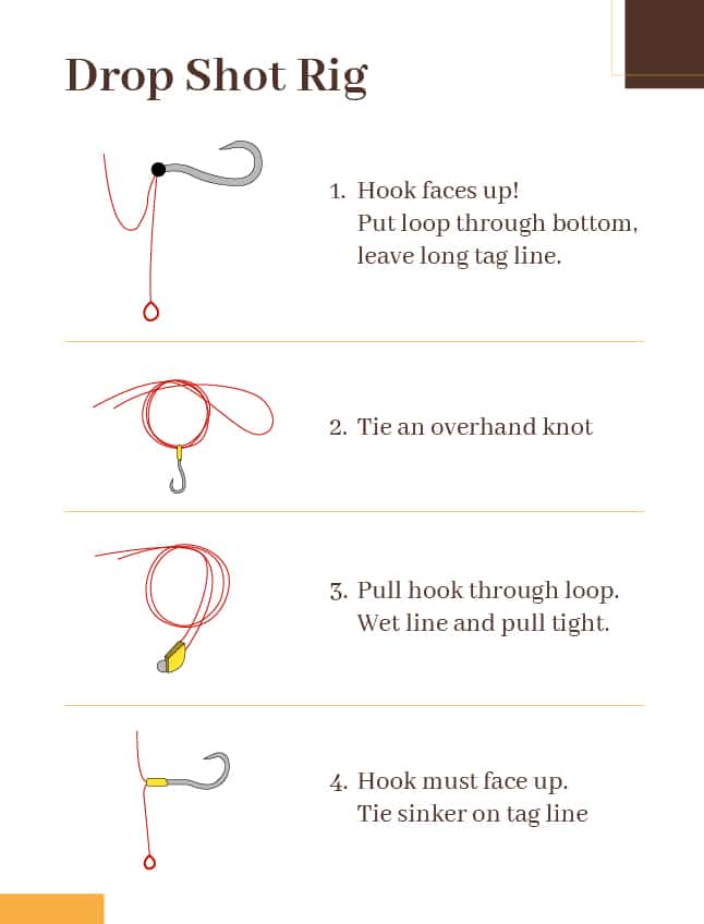 How to rig a drop shot