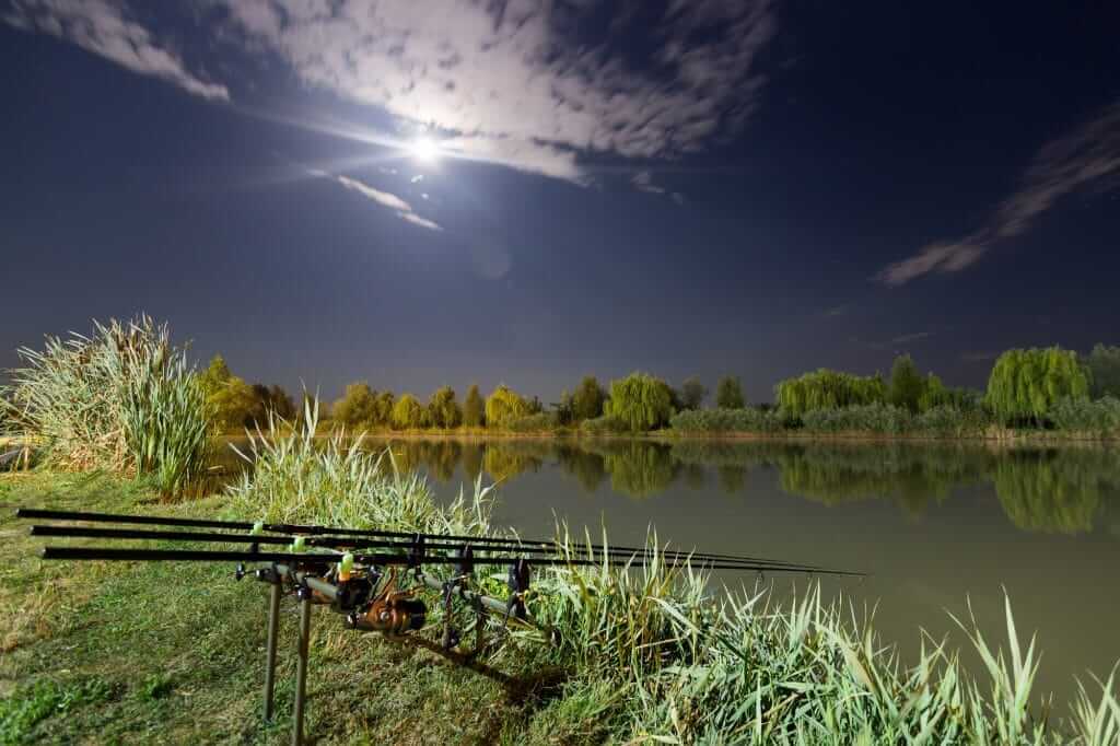 Night Fishing Lure