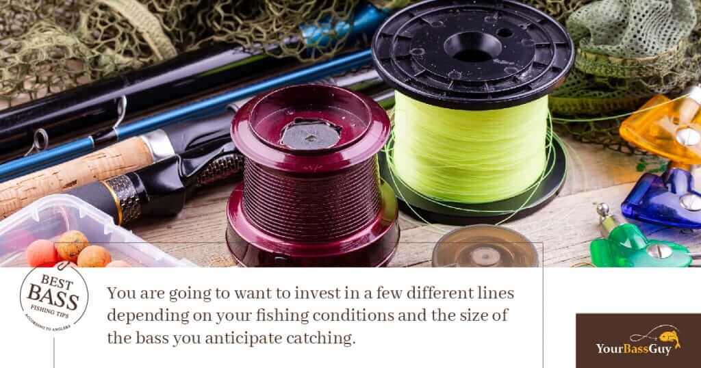 Bass fishing line cost