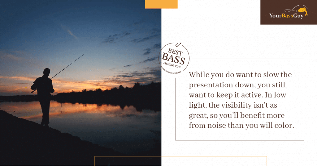 Night Bass Fishing Tips