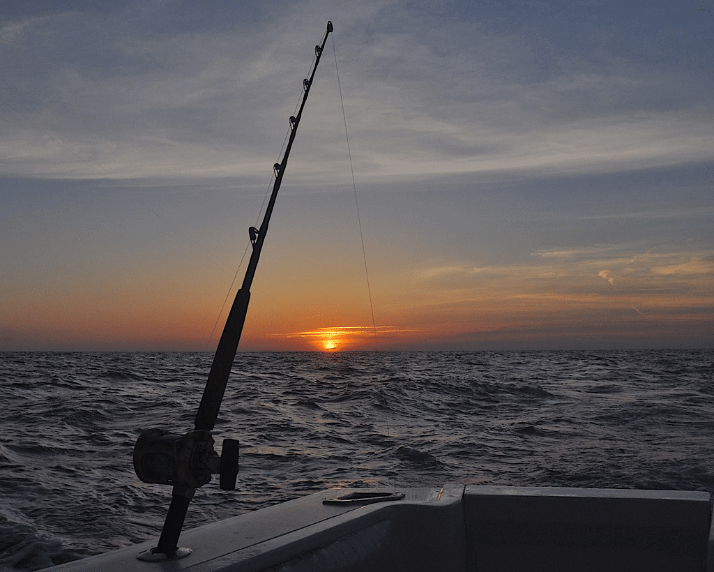 Fishing Rod at the sunset