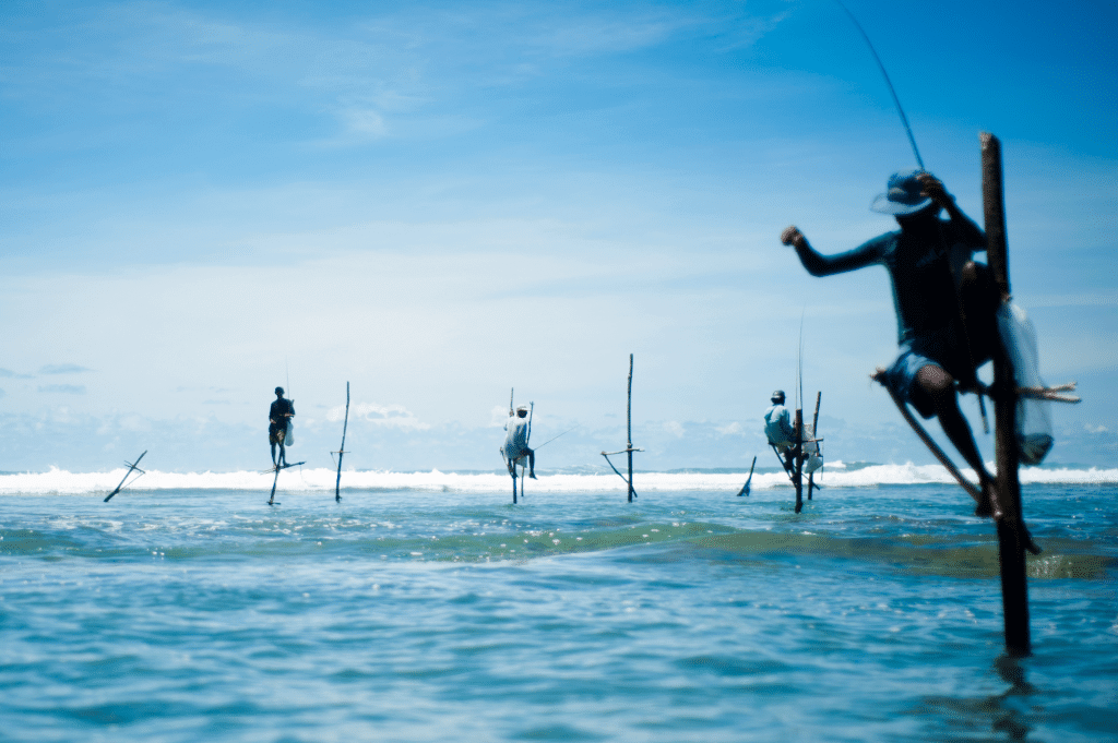 stick fishing in sri lanka