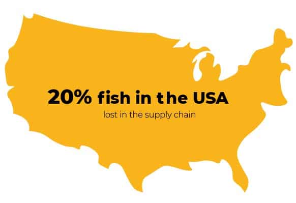 Overfishing infographics "20% fish in the USA lost in the supply chain"