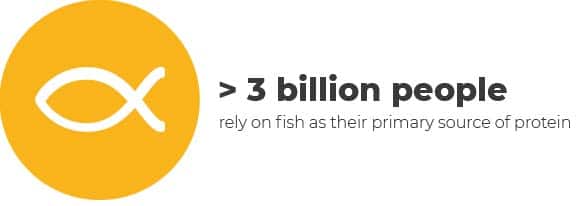 Overfishing infographic - "> 3 billion people rely on fish as their primary source of protein"