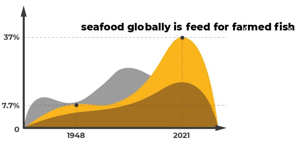 Overfishing infographic - "seafood globally is feed for farmed fish"