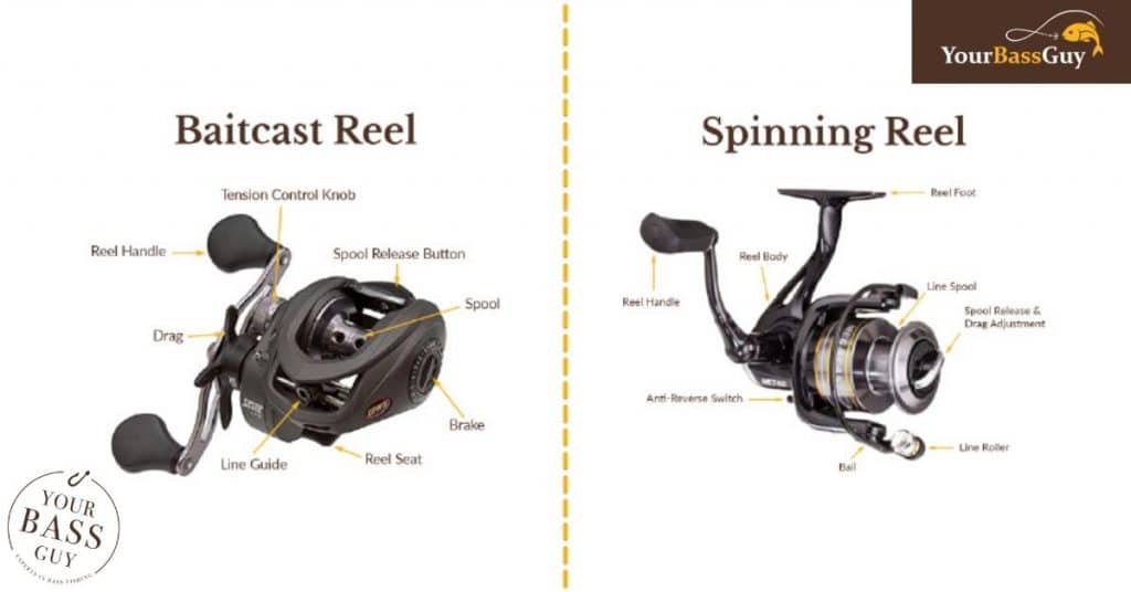 baitcaster and spinning reels