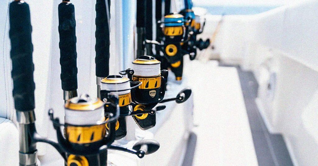 The 8 Best Catfish Reels: Expert Recommendations and Buyer Guide