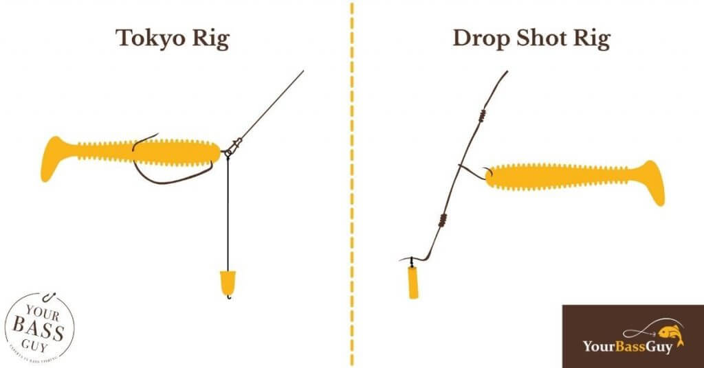 tokyo rig vs dropshot rig