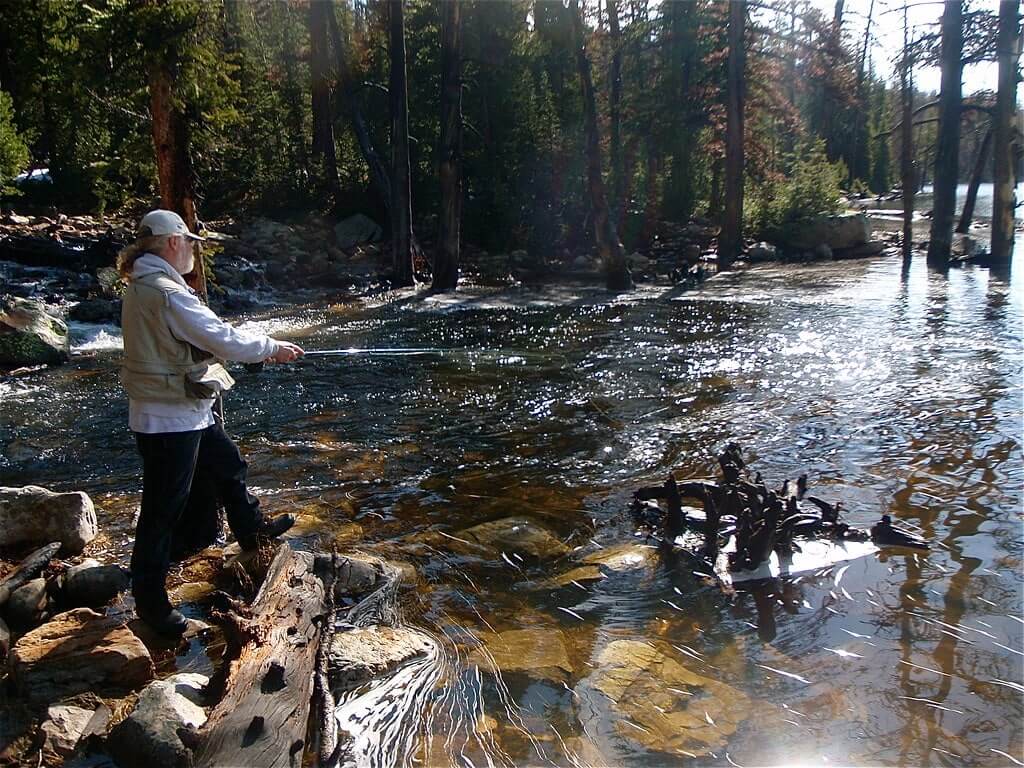 Fishermen fishing in the river