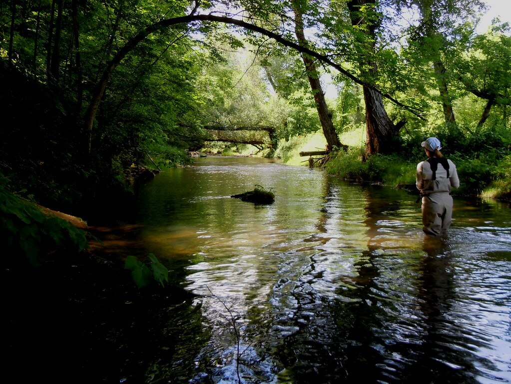 Fly Fishing the Brandywine River, Delawareware