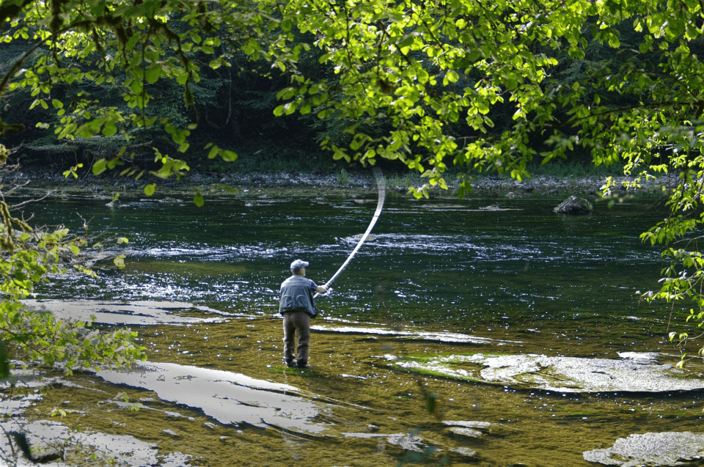 Man putting out a feeler