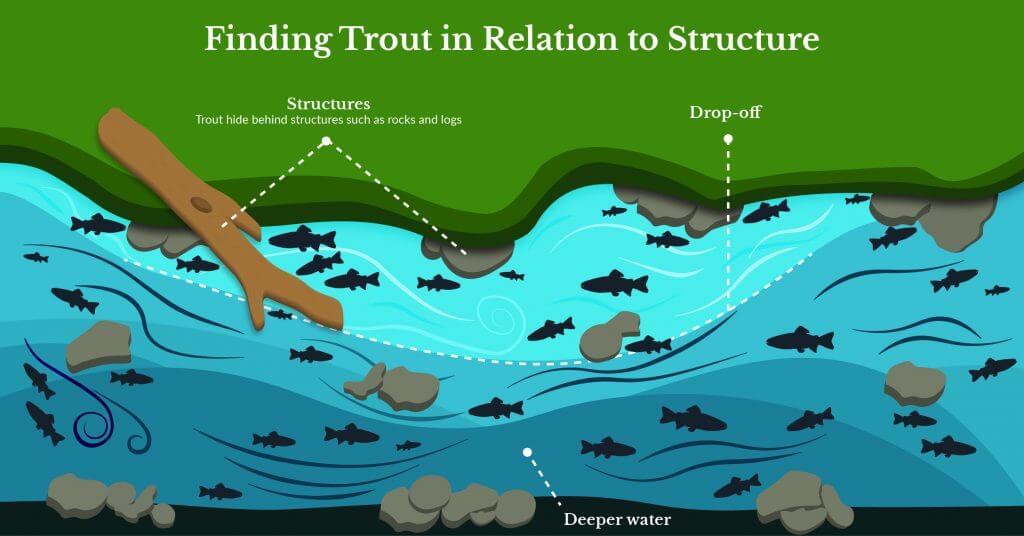 Finding trout in relation to structure