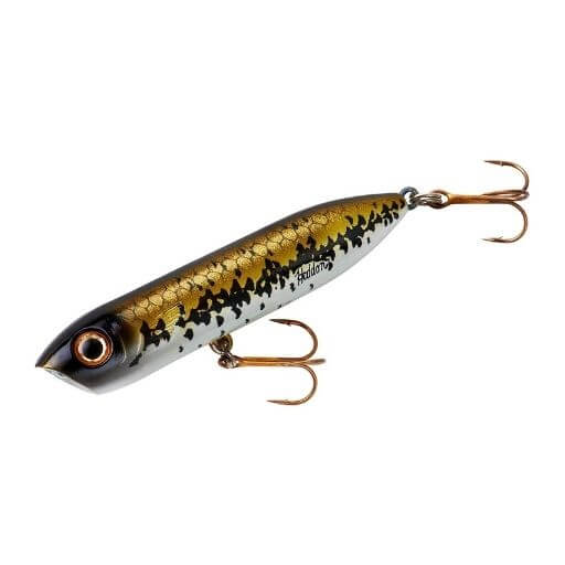 Heddon Chug'n Spook Popper