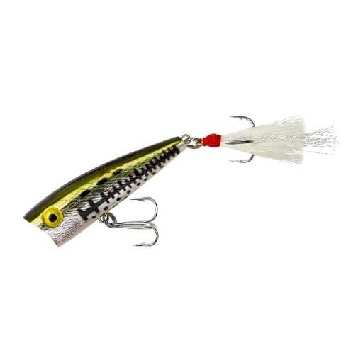 Rebel Lures Pop-R Topwater Popper