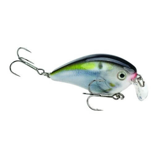 Strike King KVD Shallow Square Bill Crankbait