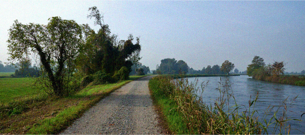 Fishing canals