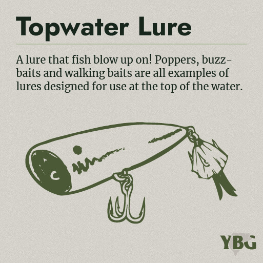 Topwater Lure: A lure that fish blow up on