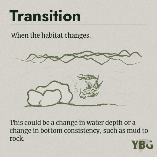 Transition: When the habitat changes