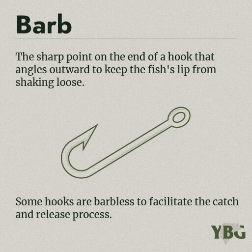 Barb: The sharp point on the end of a hook