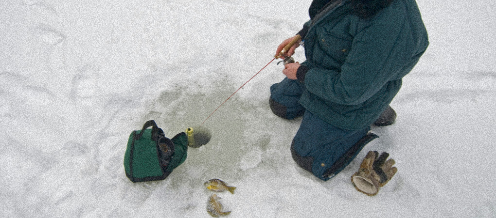 Understanding the Ice Fishing Flasher