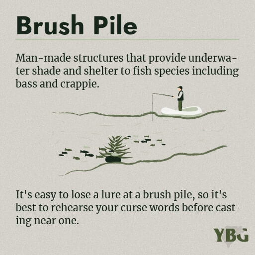 Brush Pile: Man-made structures that provide underwater shade and shelter to fish