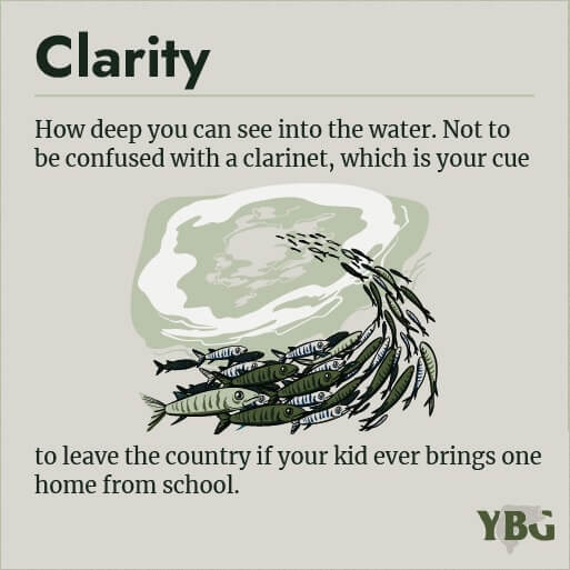 Clarity: How deep you can see into the water