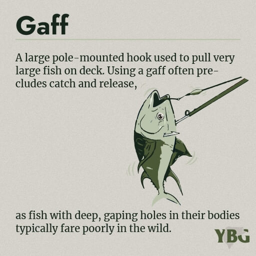Gaff: A large pole-mounted hook used to pull very large fish on deck