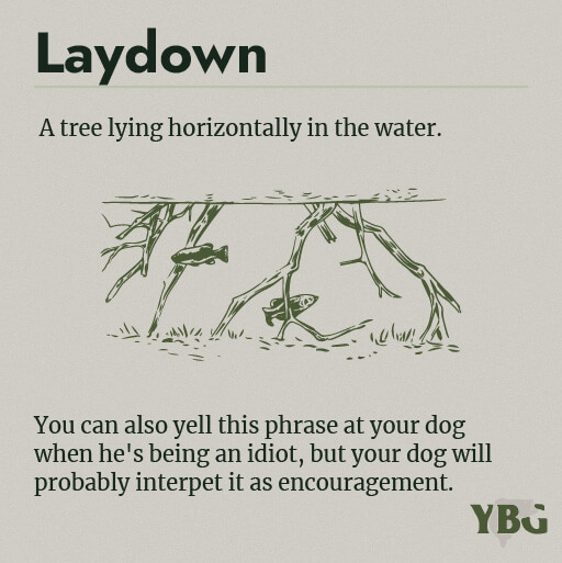 Laydown: A tree lying horizontally in the water