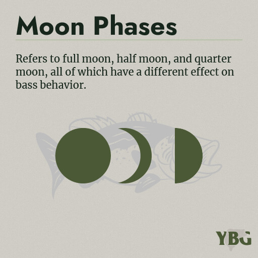 Moon Phases: Refers to full moon, half moon, and quarter moon, all of which have a different effect on bass behavior