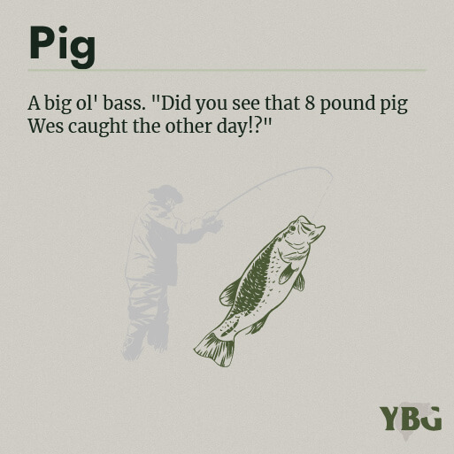 Pig: A big ol' bass