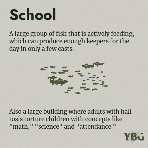 School: A large group of fish that is actively feeding