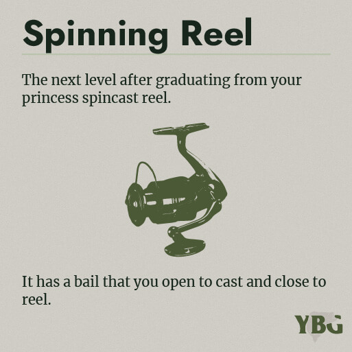 Spinning Reel: The next level after graduating from your princess spincast reel