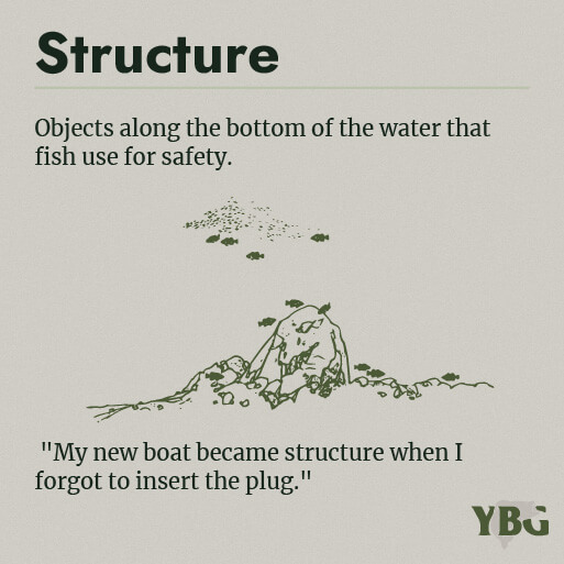 Structure: Objects along the bottom of the water that fish use for safety