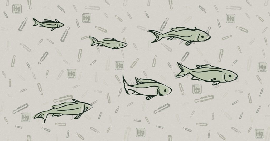 Mercury in Fish: How Did It Get There and What To Do About It?