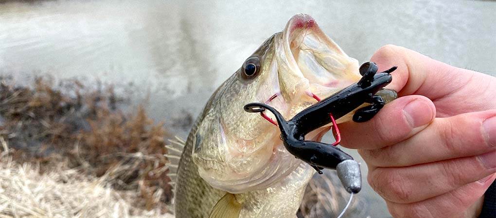 Bass Fishing Lures
