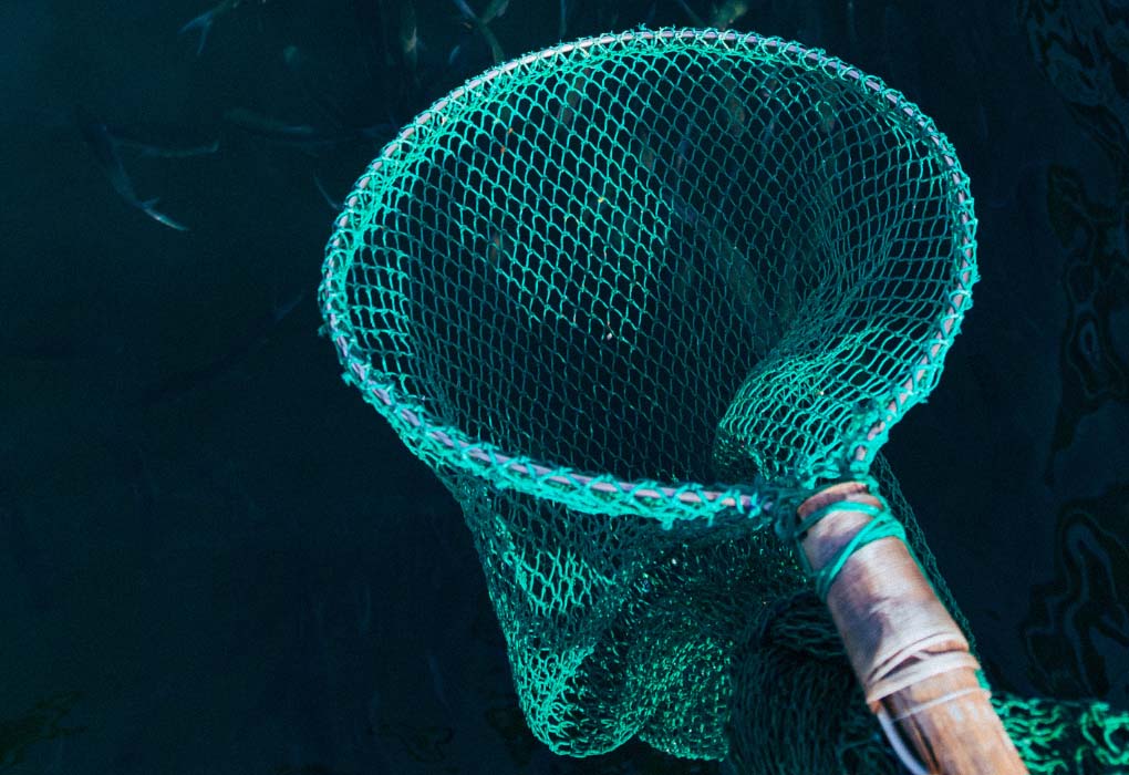 fishing net hoop