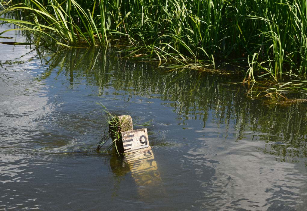 fish finder acts as a water depth finder