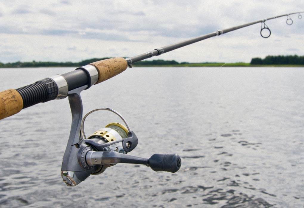 fishing rod and reel