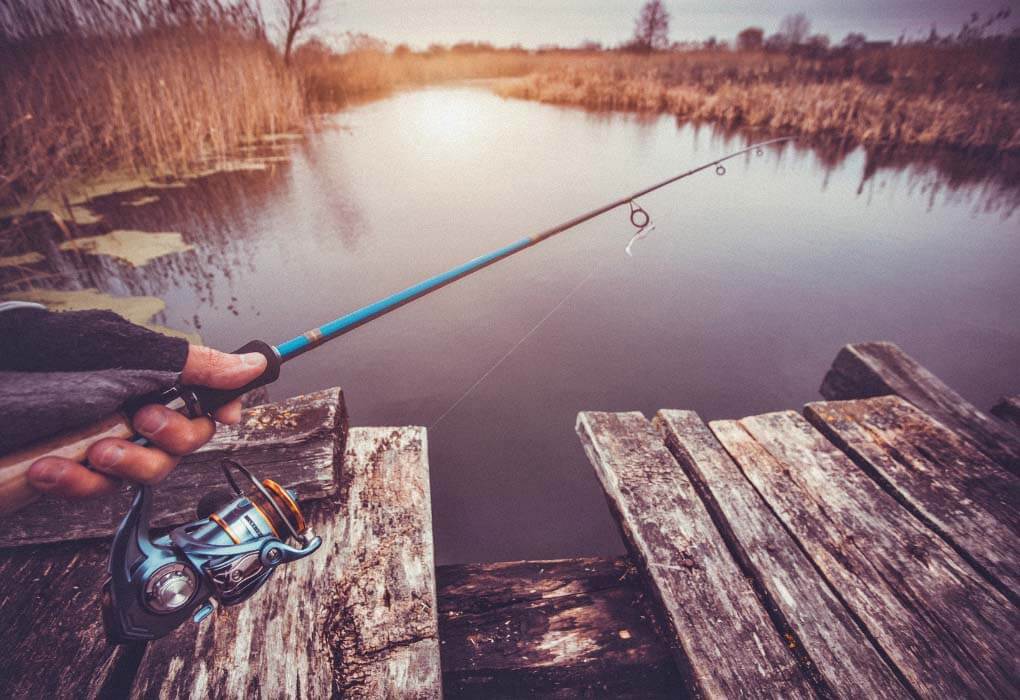 best fishing spinning rod